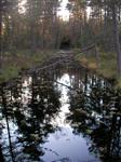 Kanal  från gölen till ångsåg